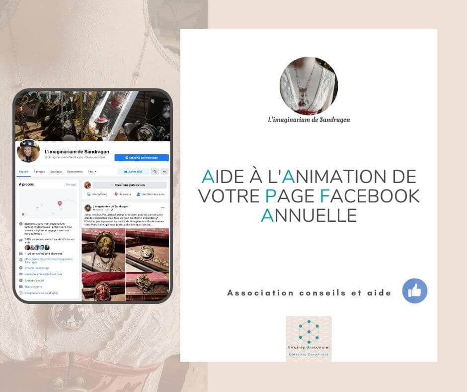 Communication web L'Imaginarium de Sandragon Facebook Virginie Braconnier Marketing Consultante v2