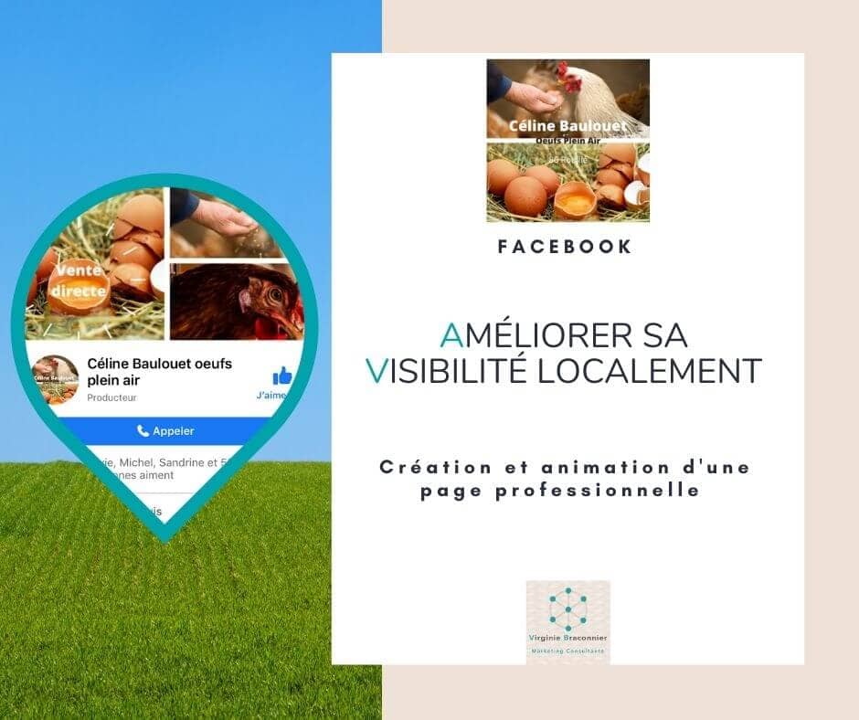 Communication web Visibilité Céline Baulouet Oeufs Plein Air Virginie Braconnier Marketing Consultante v2