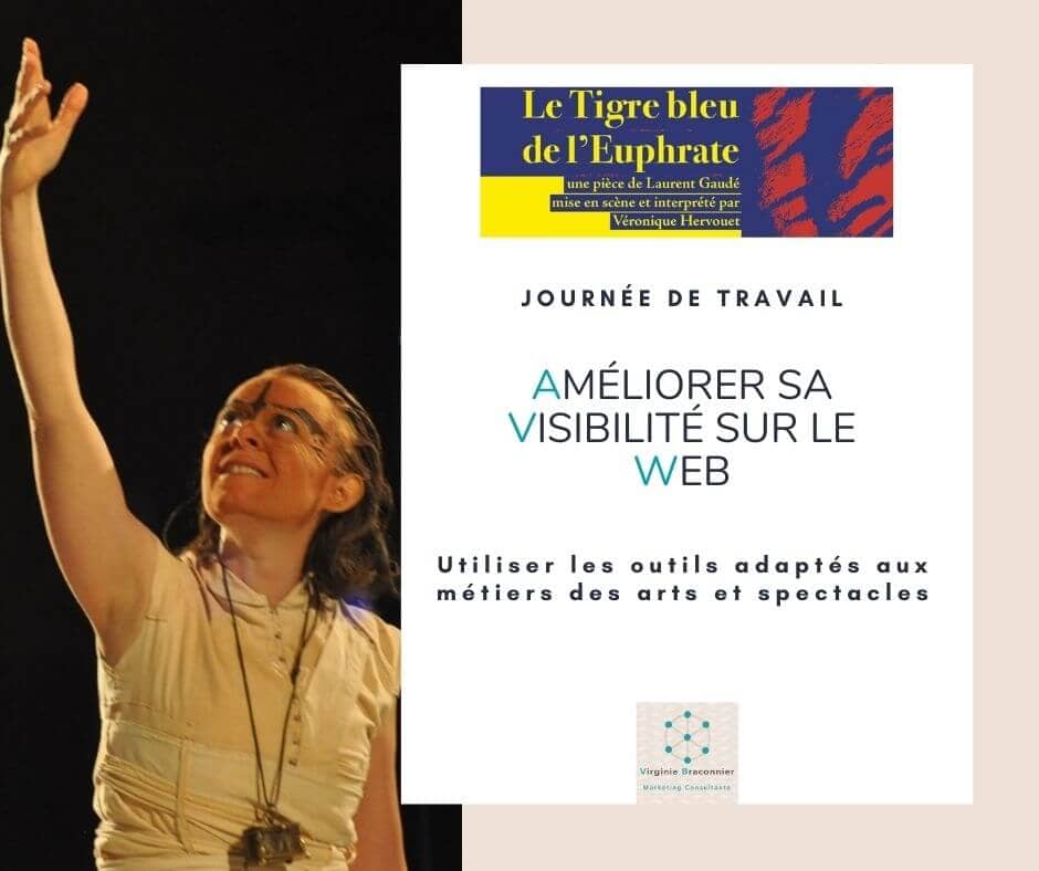 Communication web Visibilité web Arts et Spectacles Virginie Braconnier Marketing Consultante v2